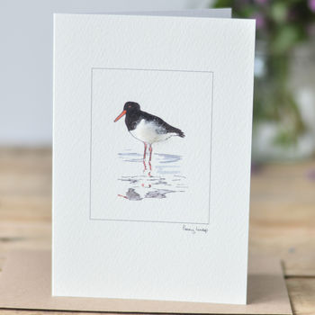 Bird Greeting Card, Oystercatcher, 2 of 2