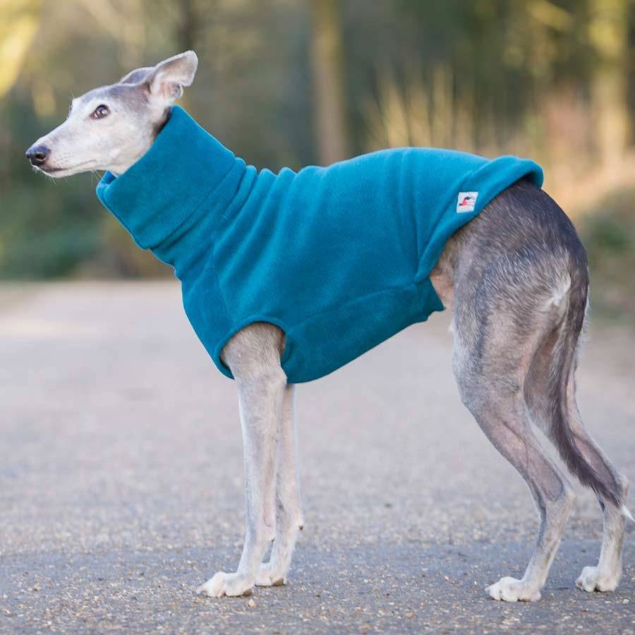 Fleecy Hound Jumper By Redhound for Dogs
