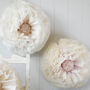 Three Ivory, Nude And Blush Paper Flowers, thumbnail 3 of 4