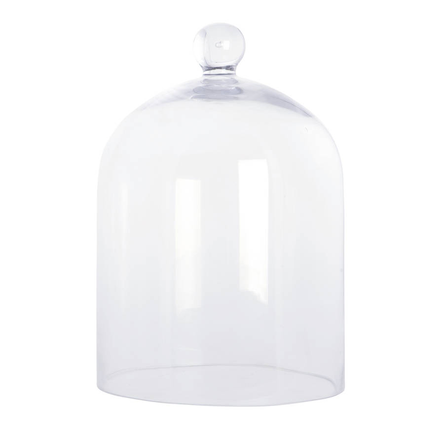 glass bell dome by all things brighton beautiful | notonthehighstreet.com