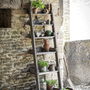Provence Ladder Shelf, thumbnail 1 of 2