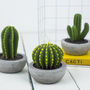 Cactus Candle, thumbnail 2 of 7