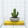 Cactus Candle, thumbnail 3 of 7