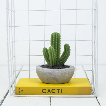 Cactus Candle, 3 of 7