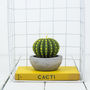Cactus Candle, thumbnail 4 of 7