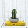 Cactus Candle, thumbnail 5 of 7
