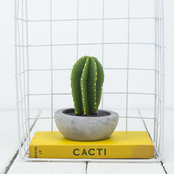 Cactus Candle, 5 of 7