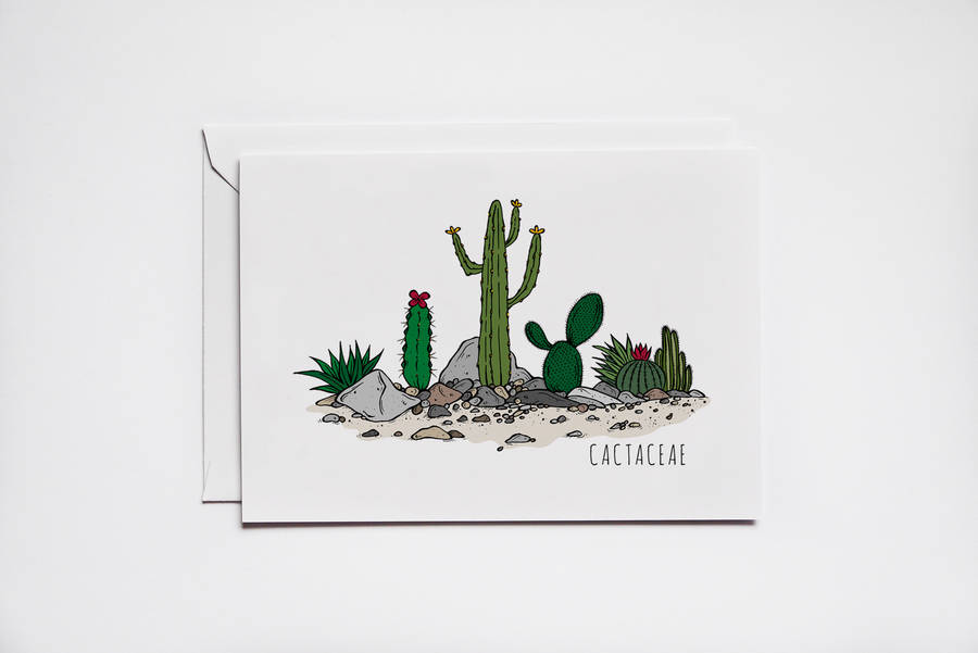 cactus greeting card by aysha illustrates | notonthehighstreet.com