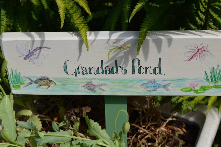Pond Sign, 1 of 4