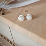 Sterling Silver Rose Earrings, thumbnail 6 of 9