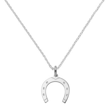 Lucky Silver Or Gold Horseshoe Necklace, 7 of 8