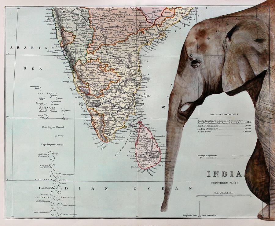 elephant and map of india print by jane wilson | notonthehighstreet.com
