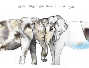 'Never Forget' Elephant Print, 2 of 2