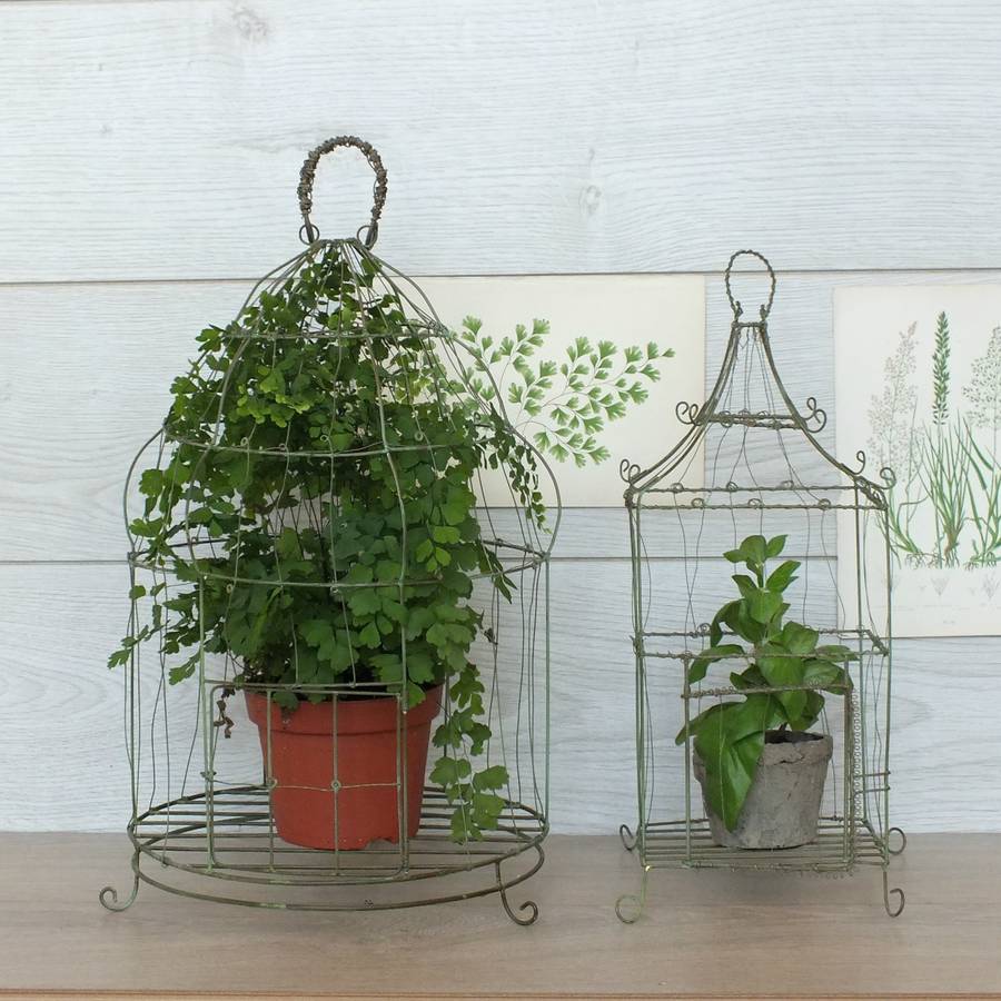 Medium Botanical Wire Bird Cage By Magpie Living