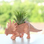 Pastel Colour Dinosaur Planter With Plant, thumbnail 1 of 12