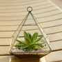 Geometric Pyramid Glass Vase Succulent Terrarium, thumbnail 6 of 6