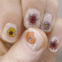 Wild Flower Nail Art Transfers, thumbnail 4 of 4