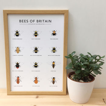 'Bees Of Britain' Print, 2 of 4