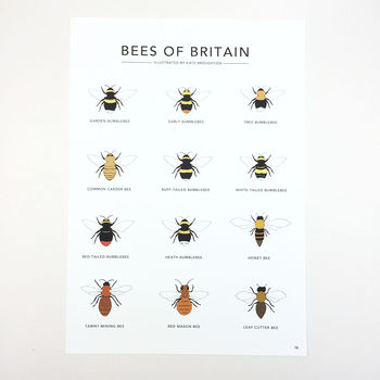 'Bees Of Britain' Print, 3 of 4