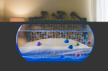 Children's Sea Bed With Aquarium And Nightlights, 6 of 9