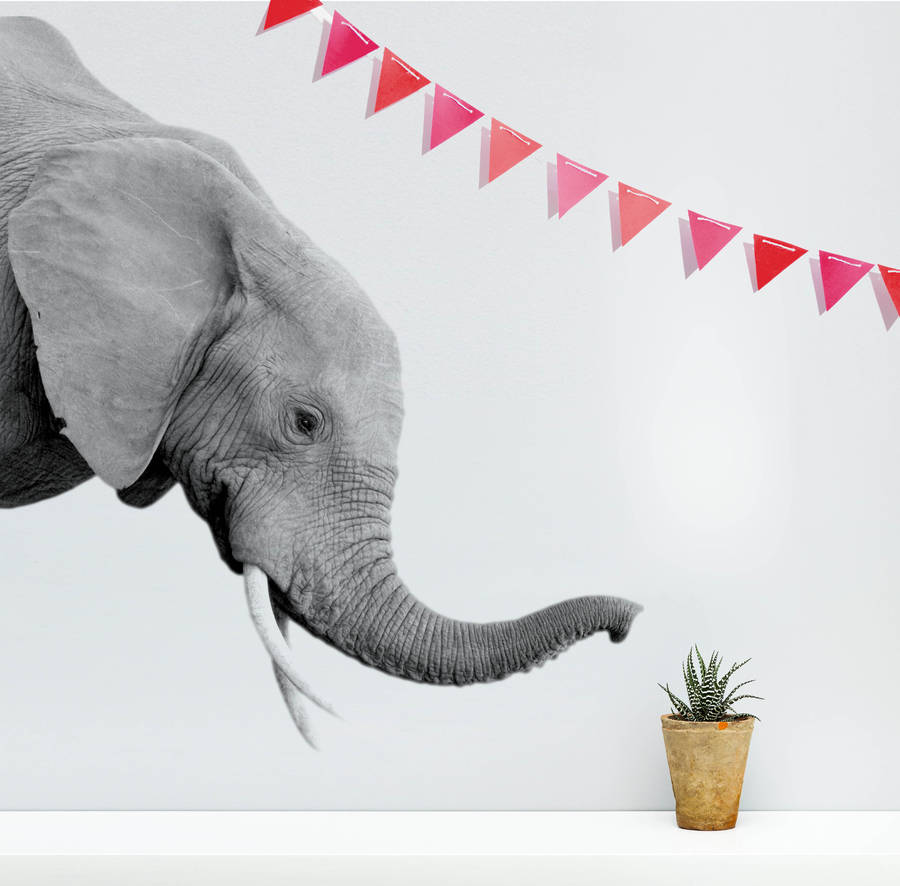 elephant wall sticker by oakdene designs | notonthehighstreet.com