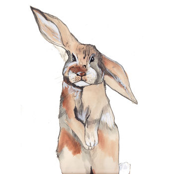 Rabbit Illustration Art Print, 2 of 3