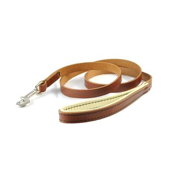 Padded Leather Dog Leads, 3 of 7