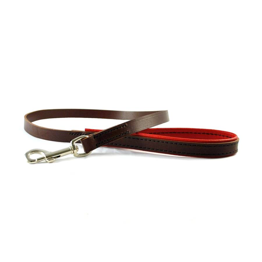 Padded Leather Dog Leads, 1 of 7