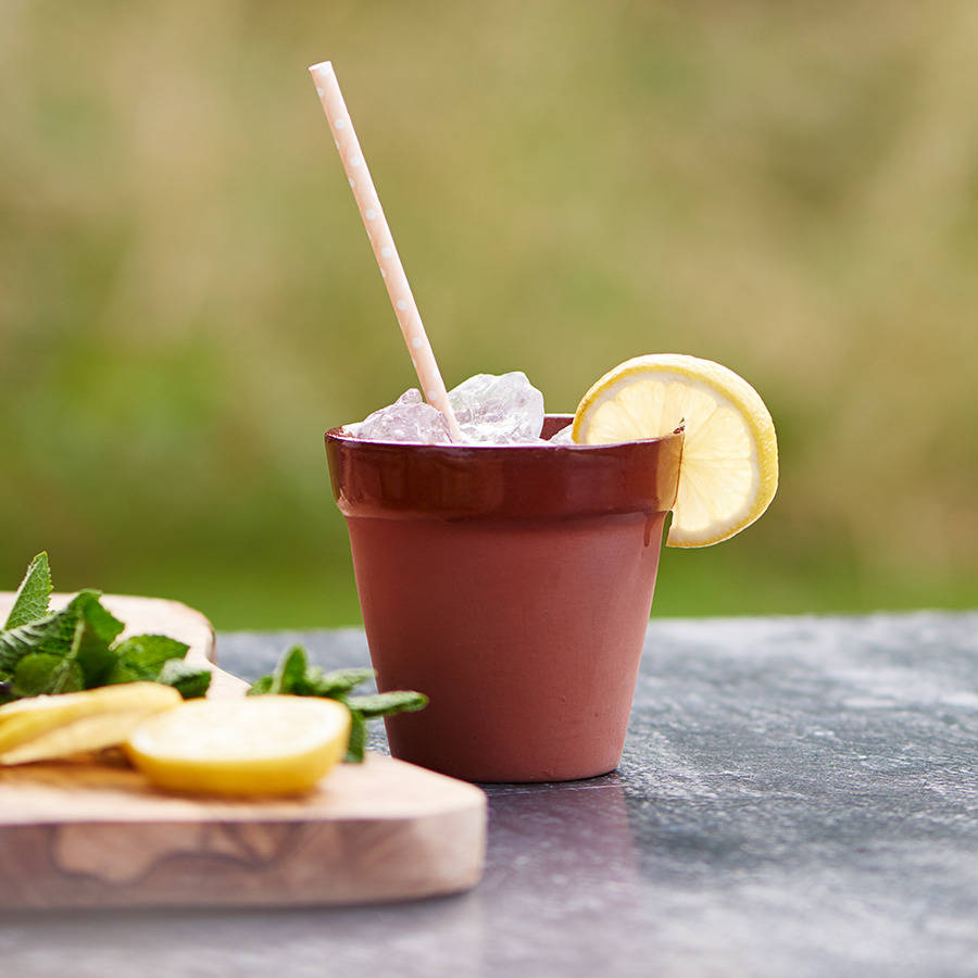 Flower Pot Cocktail Mug By Bespoke Barware