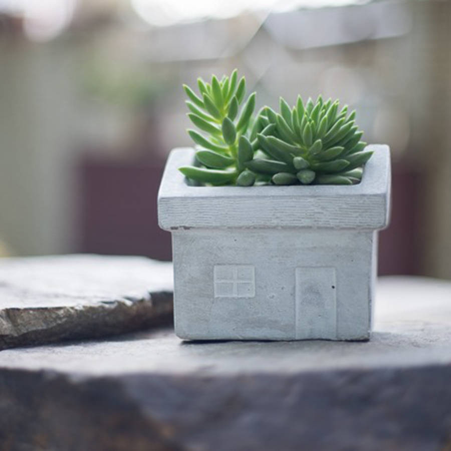 concrete-house-planter-by-dingading