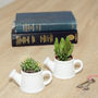 Watering Can Shaped Mini Planter, thumbnail 2 of 6