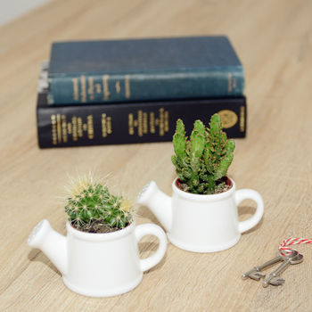 Watering Can Shaped Mini Planter, 2 of 6