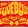 Personalised 'Lovebugs' Wedding Or Anniversary Print, thumbnail 6 of 10