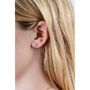 Shell Stud Earrings, thumbnail 5 of 6